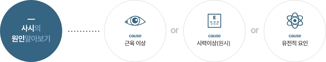 사시의 원인은 근육 이상 or 시력이상(원시) or 유전적 요인