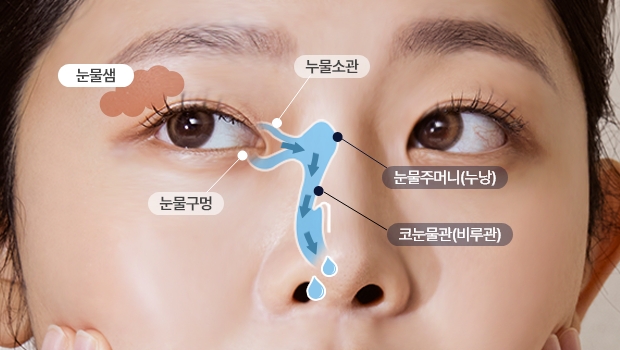 정상적인 눈물의 흐름